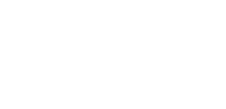 eva logo